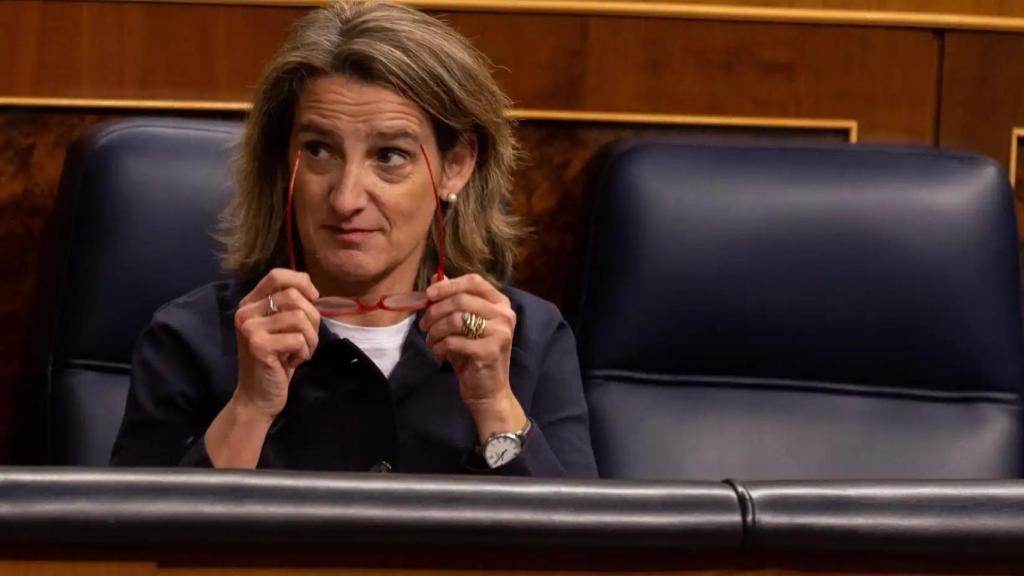 La ministra para la Transición Ecológica, Teresa Ribera, en el Congreso de los Diputados.