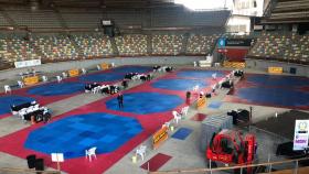 El Coliseum preparado para el torneo.