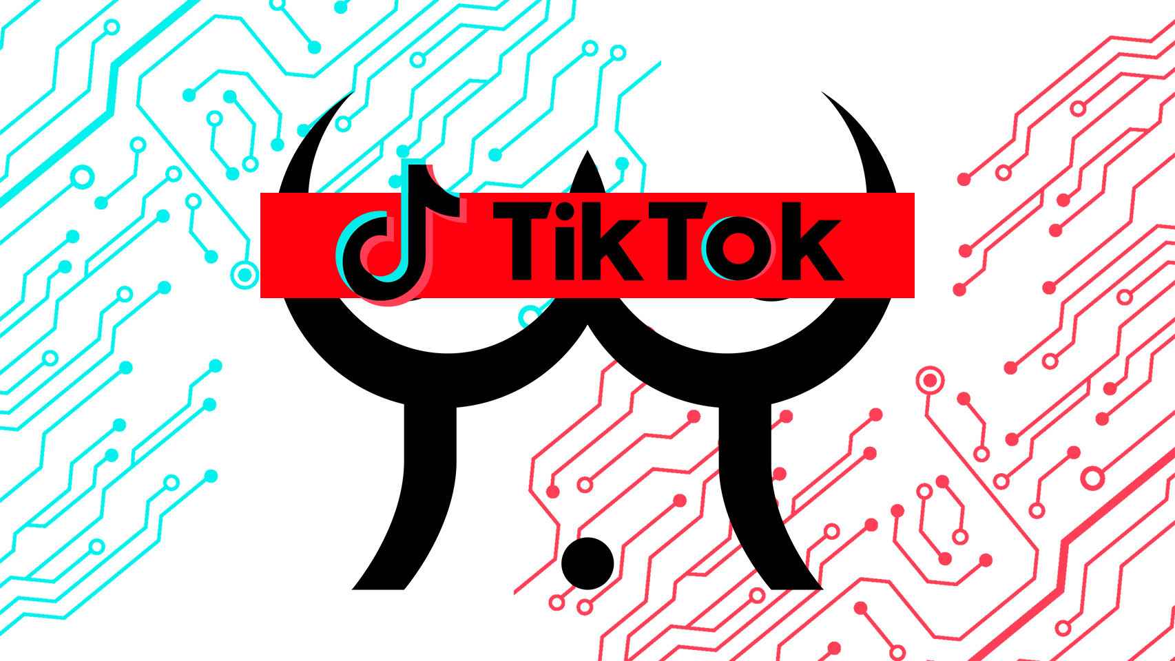 Fotomontaje de TikTok