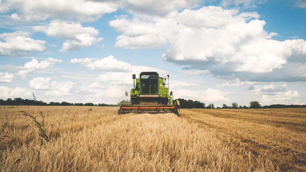 La compañía de Palencia ha lanzado sus biofertilizantes y bioestimulantes al mercado español, donde prevé consolidarse este año.