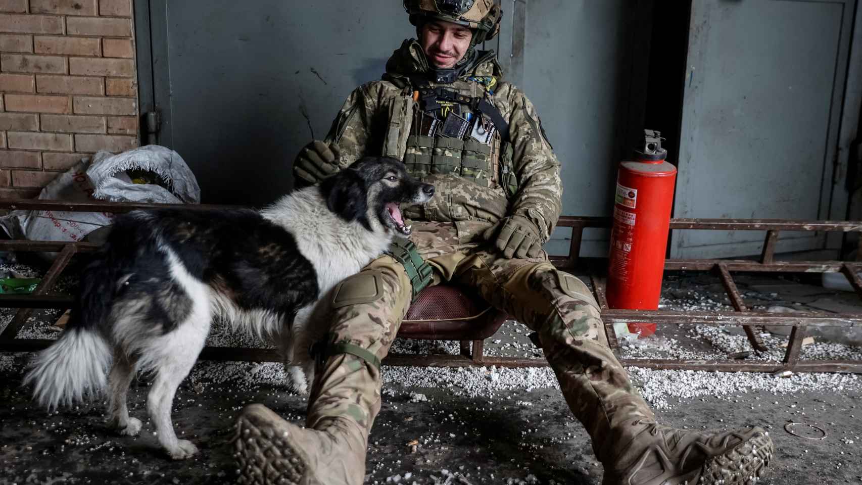 Soldado ucraniano saluda a un perro en Bakhmut.