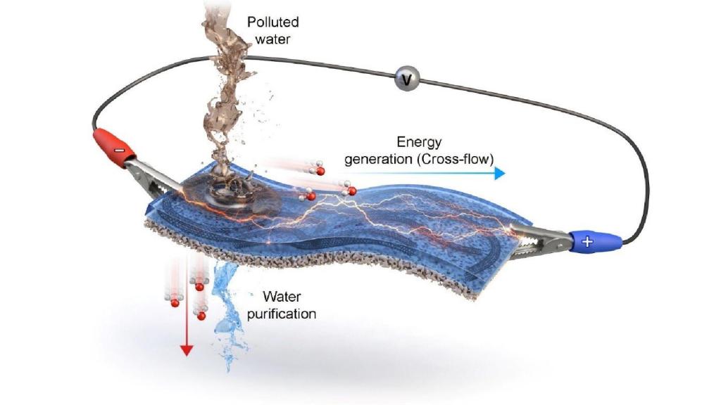 Diagrama de la membrana purificadora de agua y generadora de energía