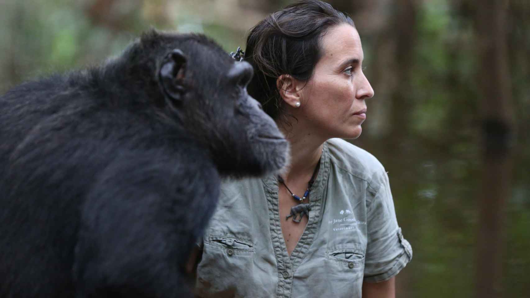 Rebeca Atencia con un chimpancé.