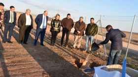 Castilla-La Mancha se consolida como la primera región productora de pistacho del país