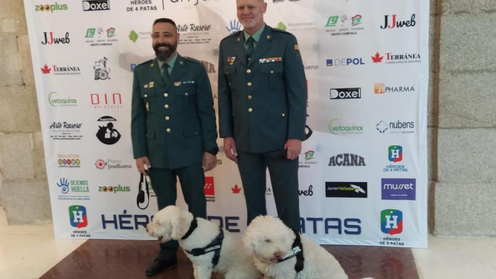 Dylan y Junco, los perros estrella de la Guardia Civil, en un acto para fomentar las adopciones de perros policía.