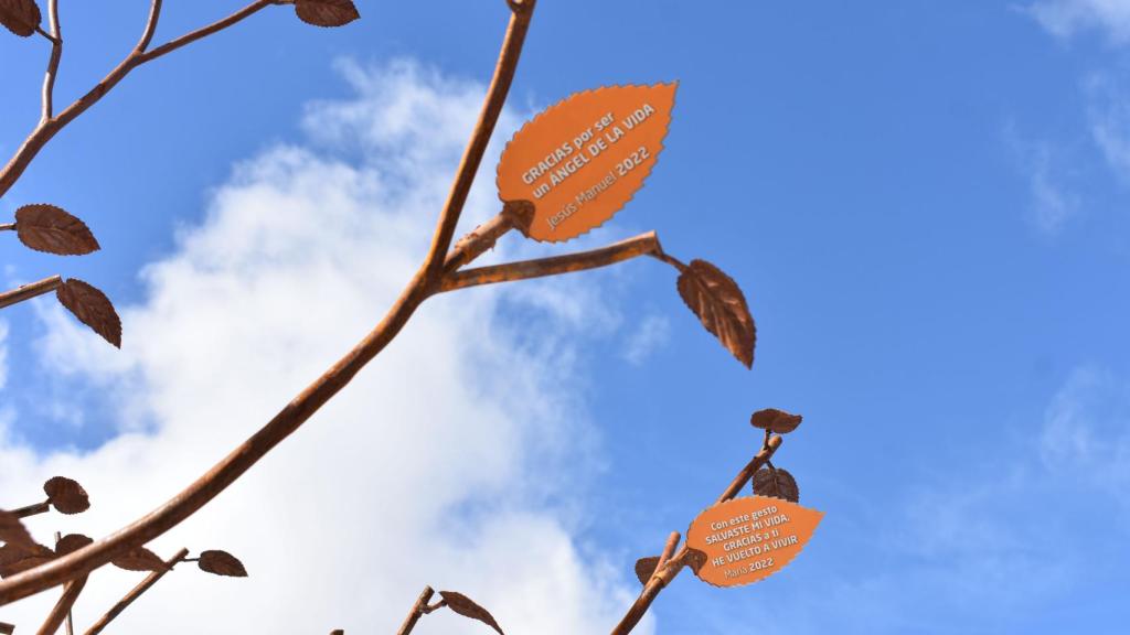 Las hojas del árbol incluyen mensajes de agradecimiento a los donantes.