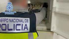 Cae una banda dedicada a la venta y distribución de hachís y cocaína en la provincia de Alicante