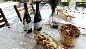 Visita guiada con cata de vinos y maridaje de quesos en Ourense.
