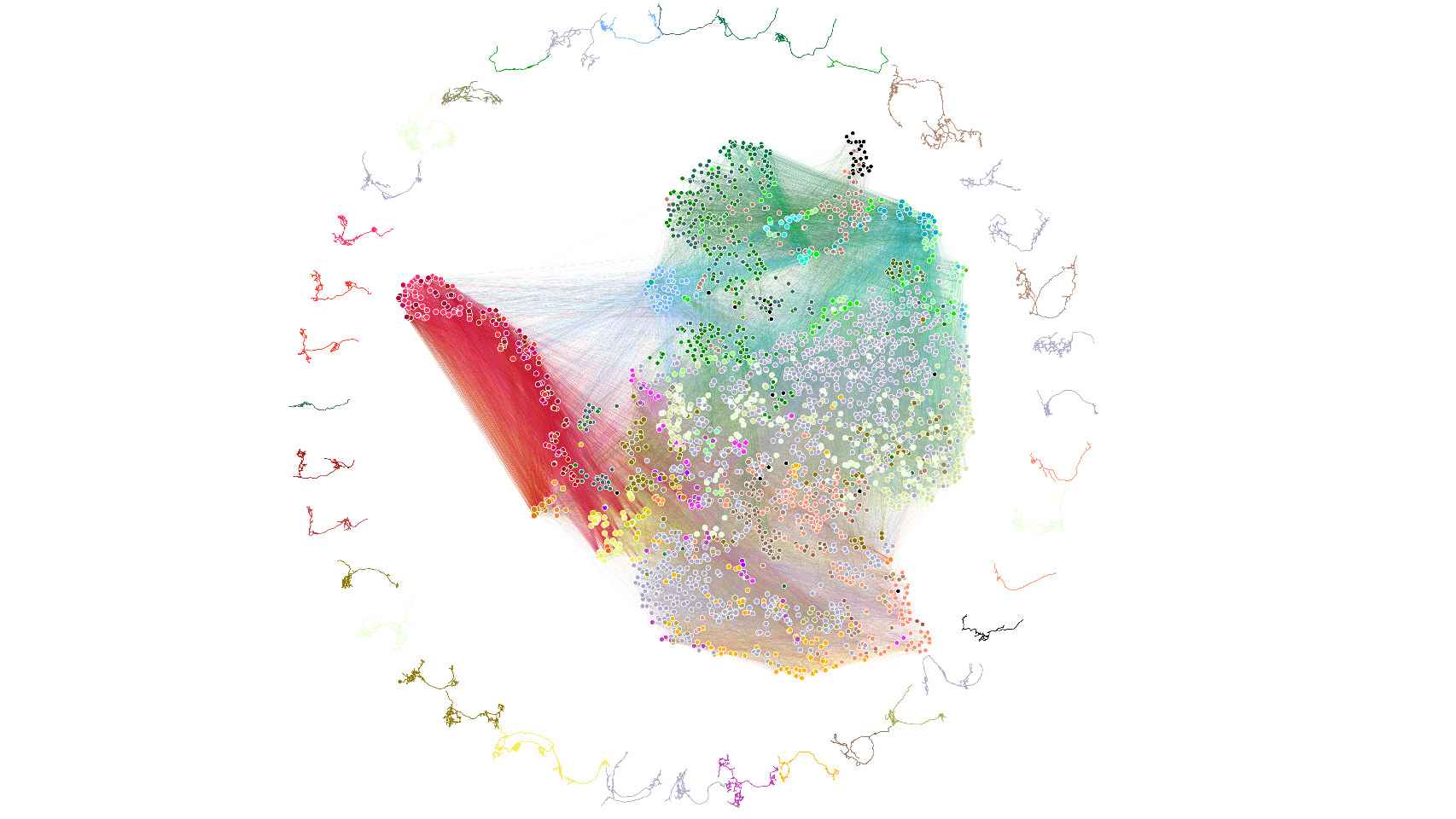 El conectoma de las relaciones neuronales del cerebro de la larva. Johns Hopkins University/University of Cambridge