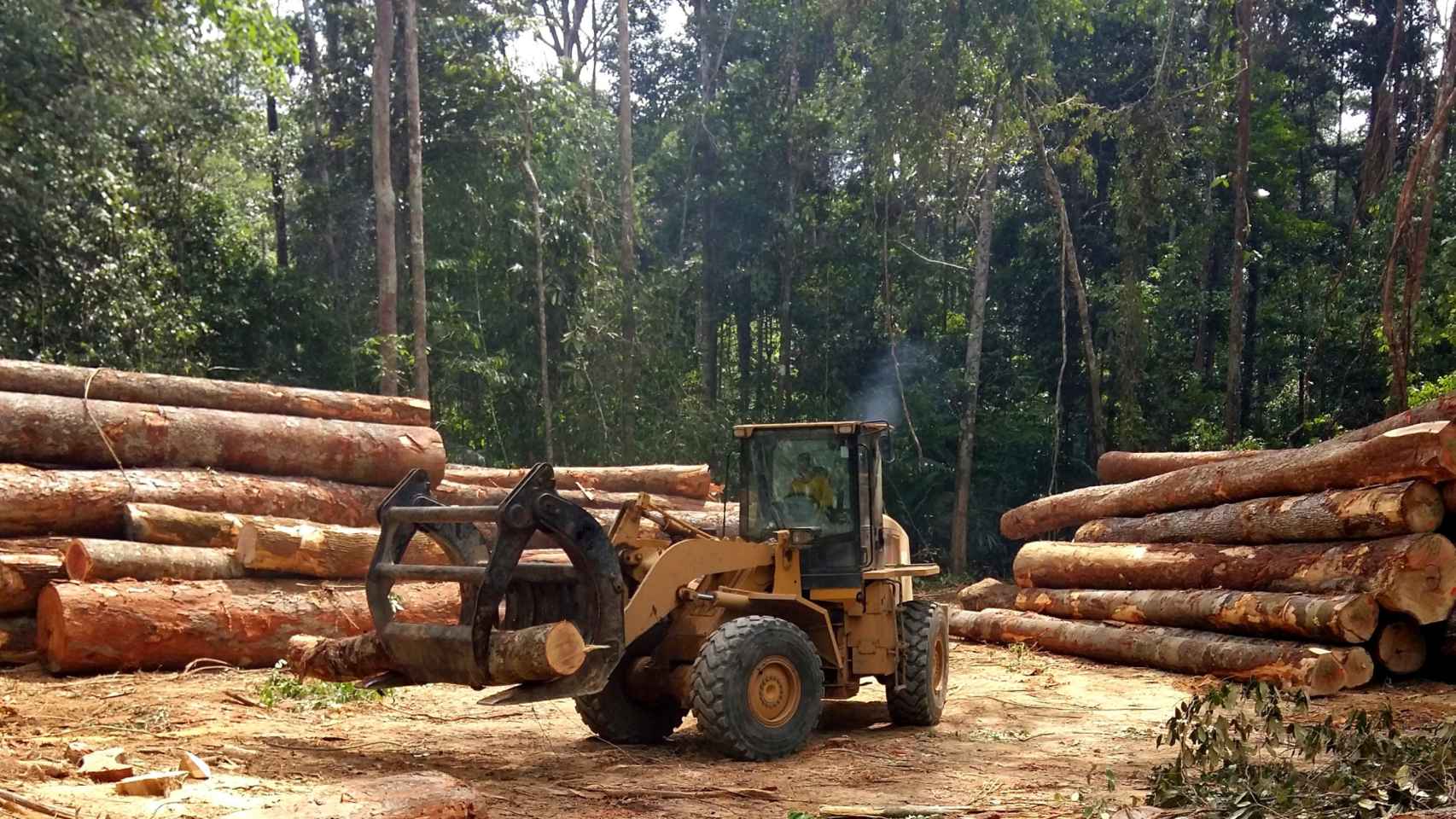 Deforestación ilegal en la Amazonía.