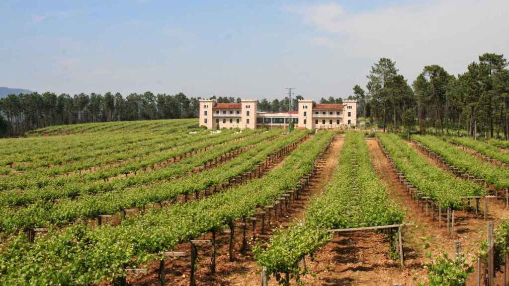 Bodegas La Val, en Salvaterra de Miño (Pontevedra).