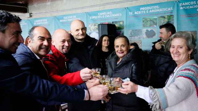 Presentación de TéAreeiro.