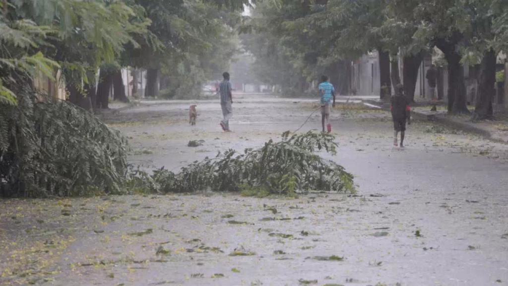 Ramas de un árbol se ven en la carretera, mientras azota el ciclón Freddy , en Quelimane.