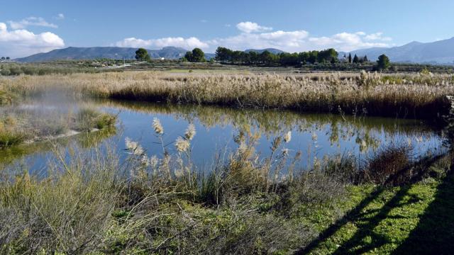 La Laguna de Gaianes en Alicante.