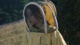 Un fotograma de la película '20.000 especies de abeja'.