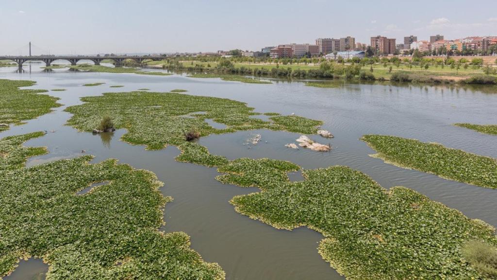 El río Guadiana a su paso por Badajoz