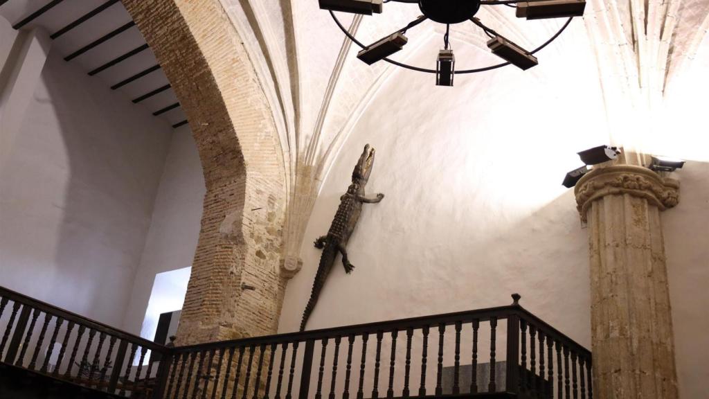 El lagarto del Viso. Foto: Europa Press.