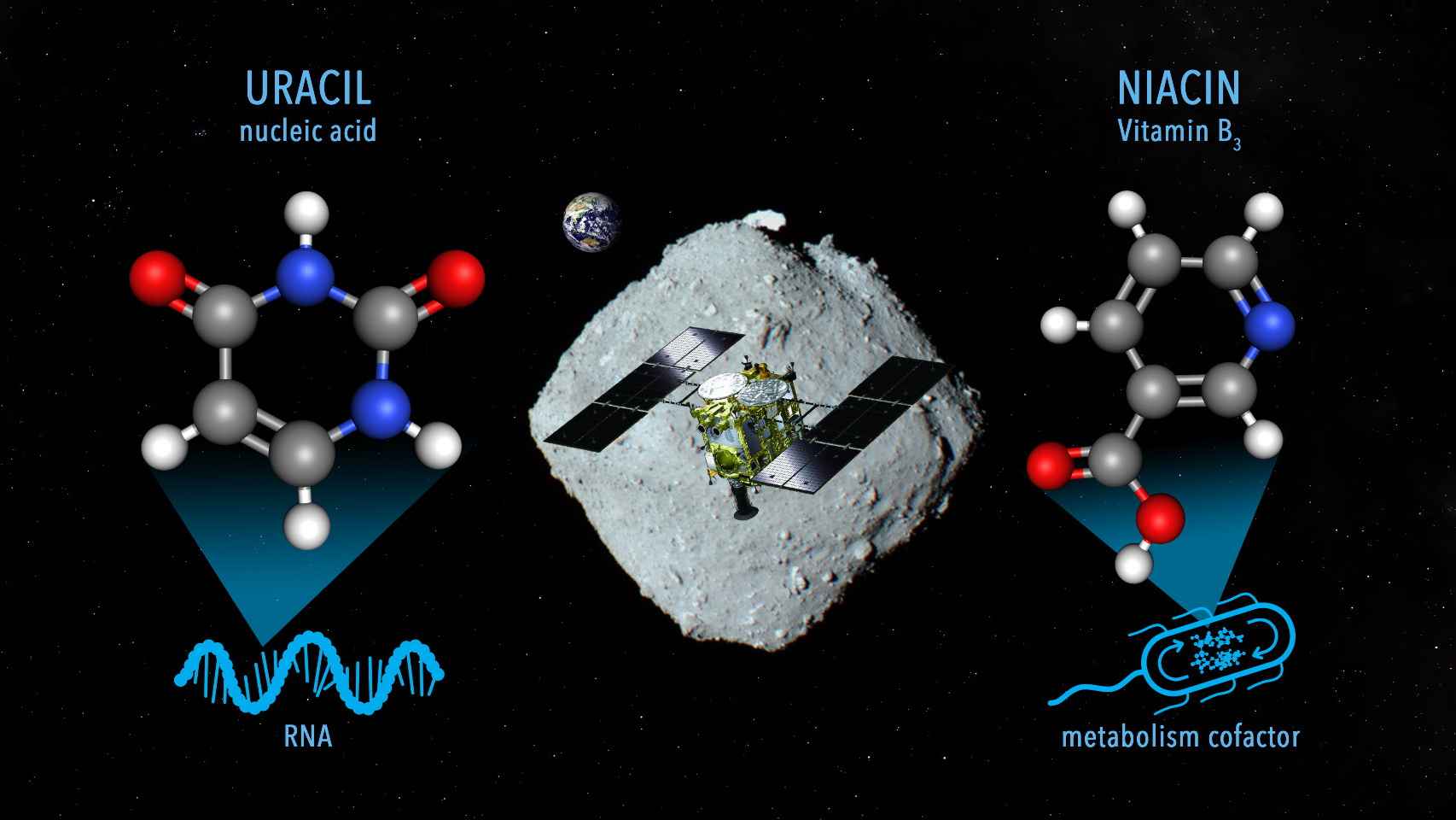 Una imagen conceptual del muestreo de componentes -uracilo y vitamina B3 en el asteroide Ryugu por la sonda Hayabusa2.