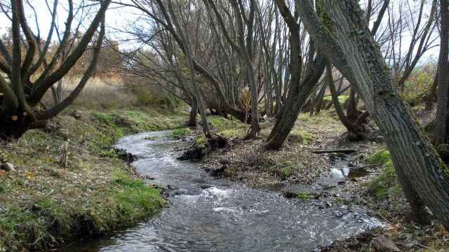 El río Gudillos, en Segovia, tras una intervención de la CHD.