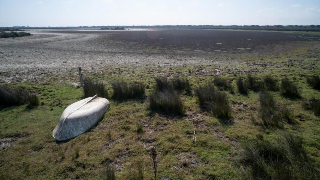 Doñana seca a fecha de 8 de marzo de 2023.