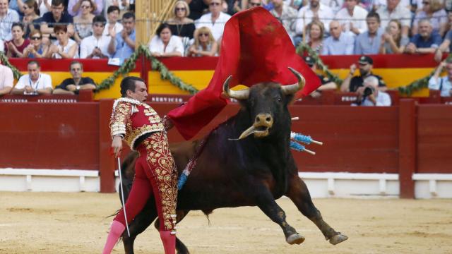 José María Manzanares, en la Plaza de Toros de Alicante, en imagen de archivo.