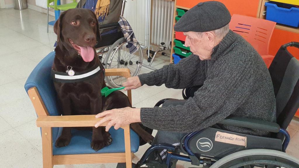 Un perro con uno de los mayores de la residencia de Nava de la Asunción