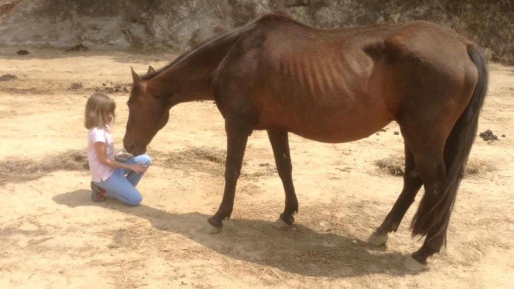 Claire a los nueve años junto a un caballo.