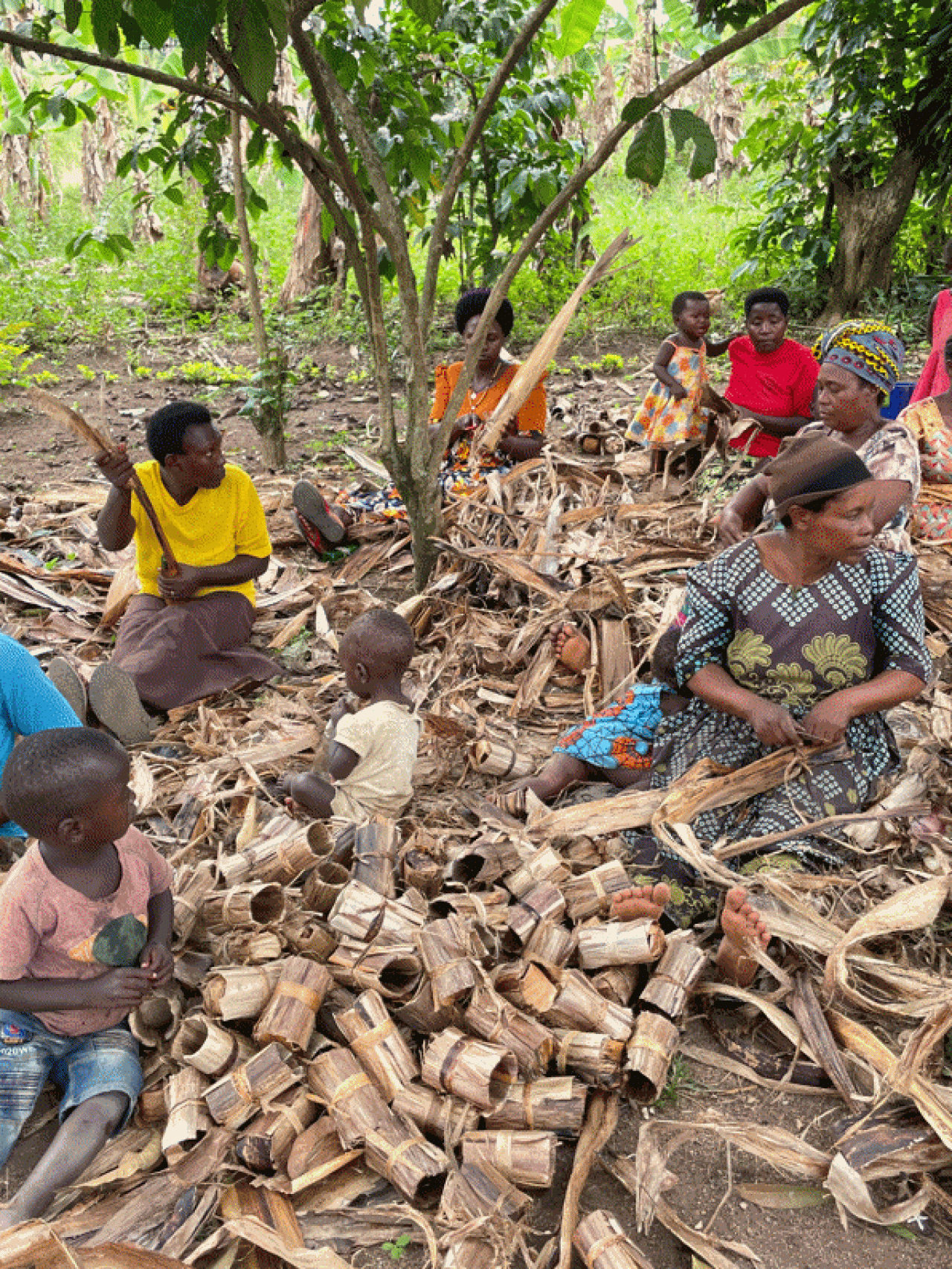 Proyecto de reforestación de Trees4Humanity.