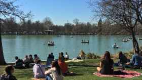 5 lugares idílicos de Madrid para irse de picnic