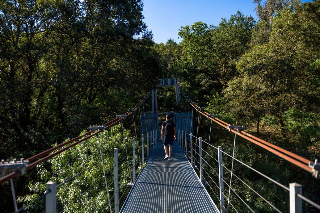 Imagen: Turismo Rías Baixas