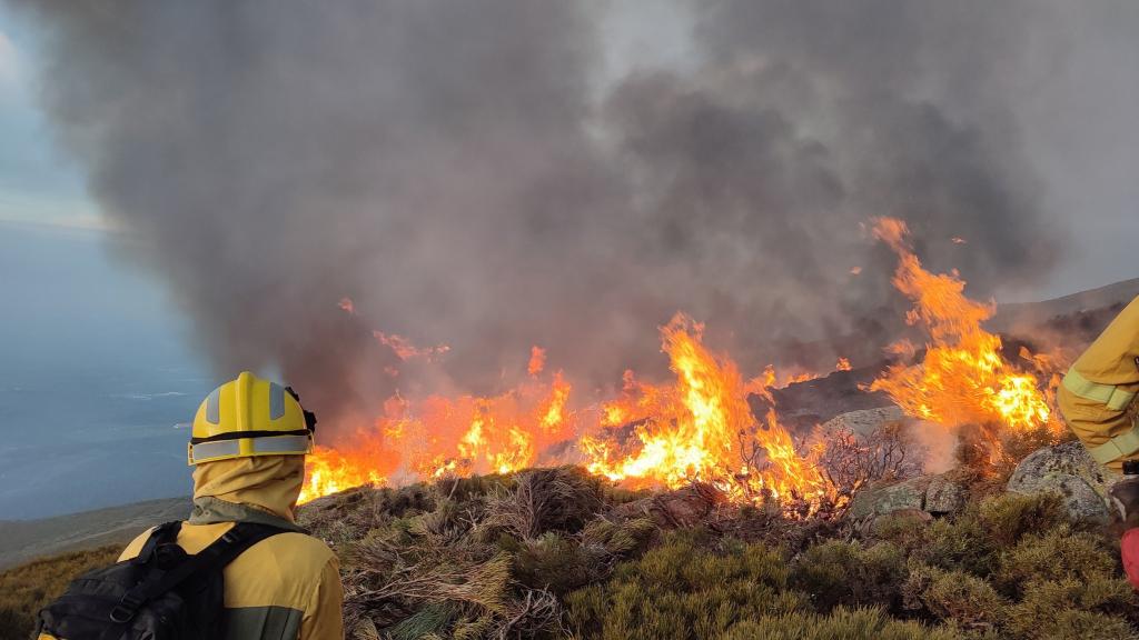 Labores de extinción del incendio forestal de Candelario