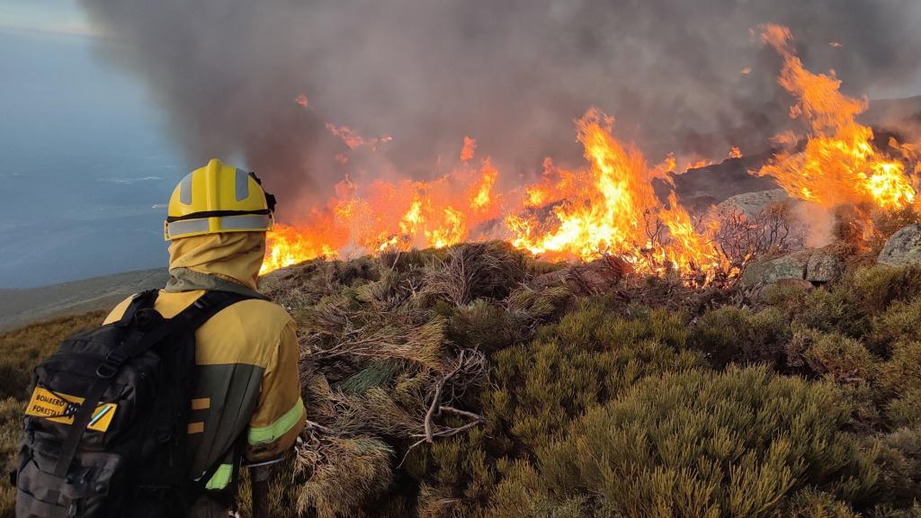 La Junta, obligada a evaluar los riesgos laborales del personal de extinción de incendios forestales