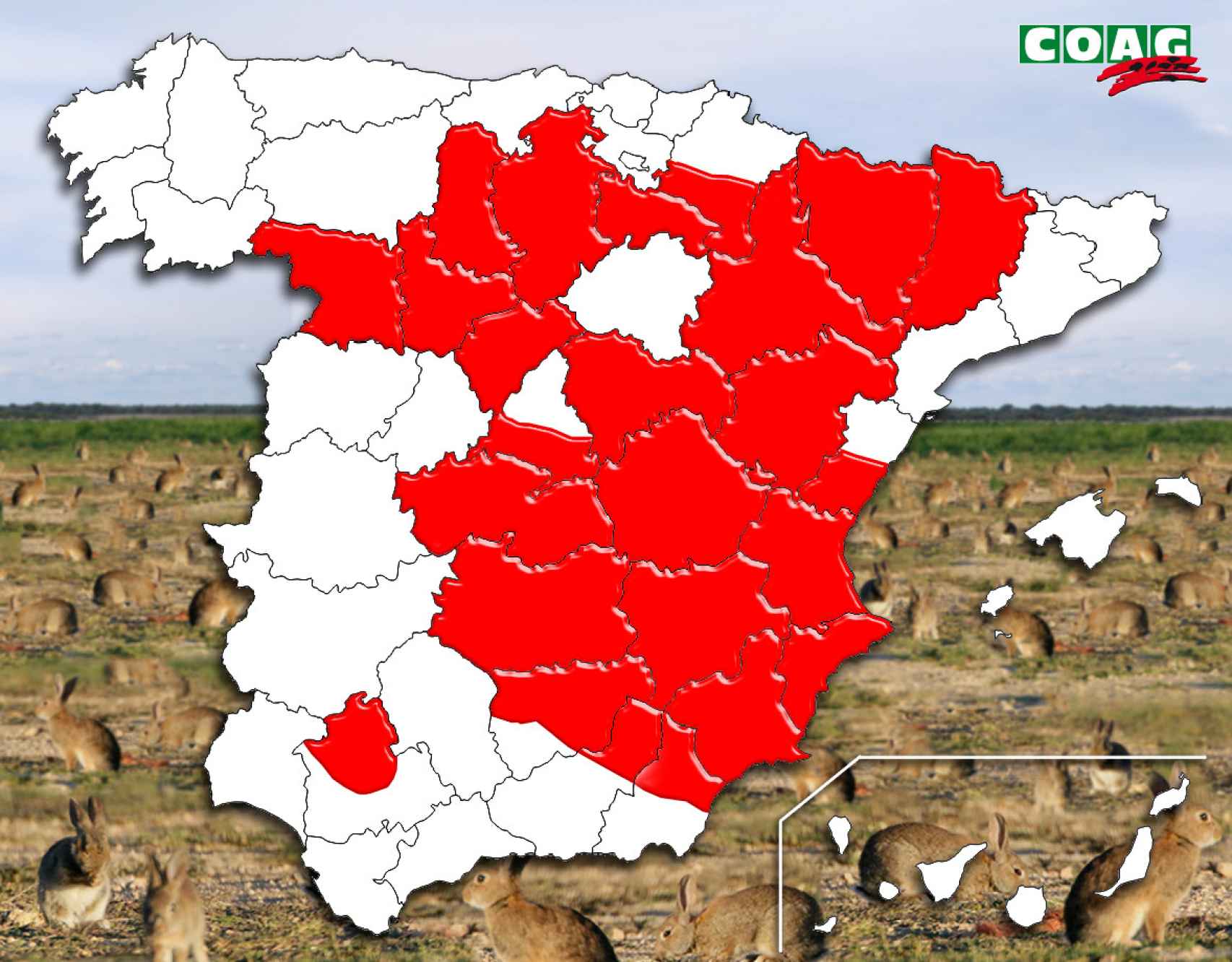 Mapa de las provincias afectadas por la plaga de conejos, según datos registrados por COAM