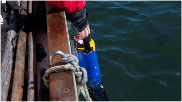 Cobre San Rafael y Parquistas de Carril recuperan resultados de sondas en la Ría de Arousa