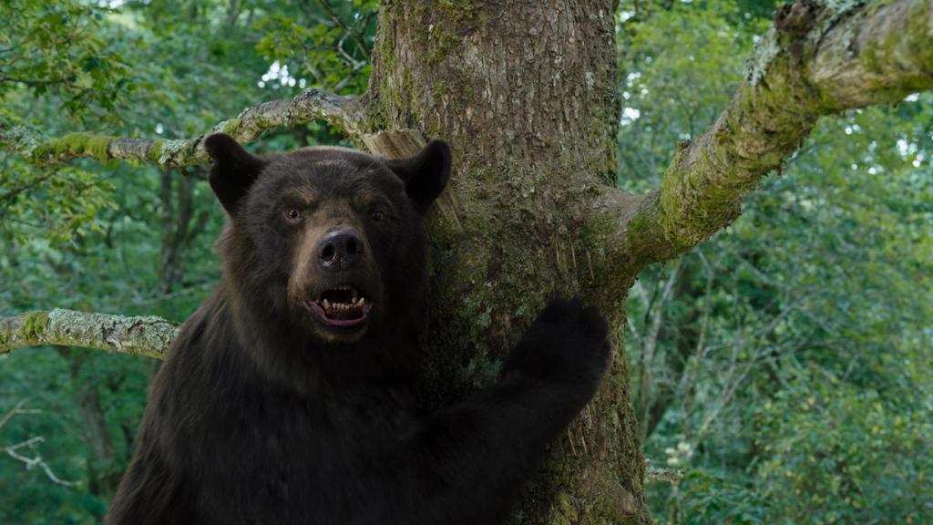 Fotograma de 'Cocaine Bear', en España 'Oso vicioso'.