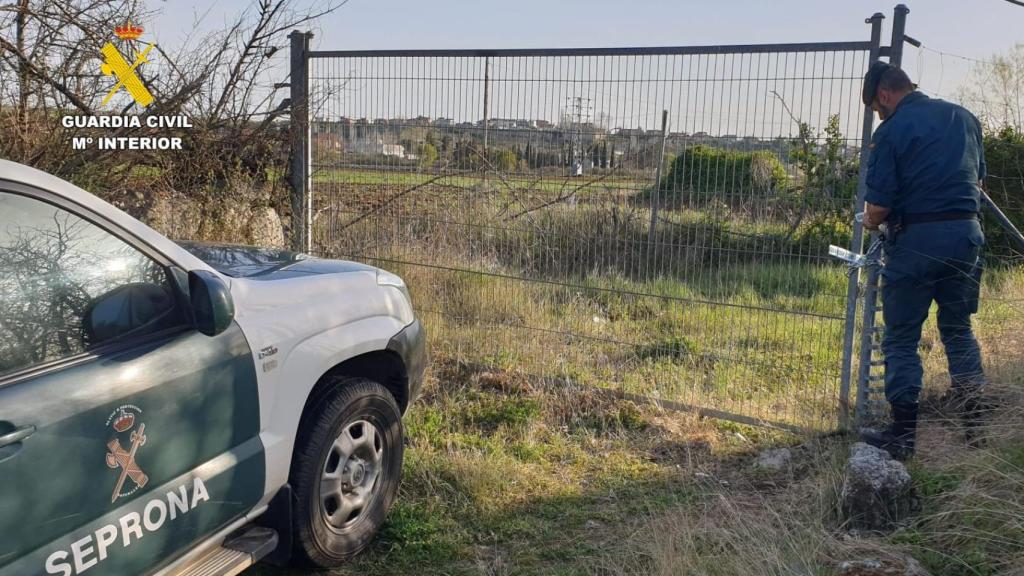 La Guardia Civil en la parcela donde habían entrado a robar