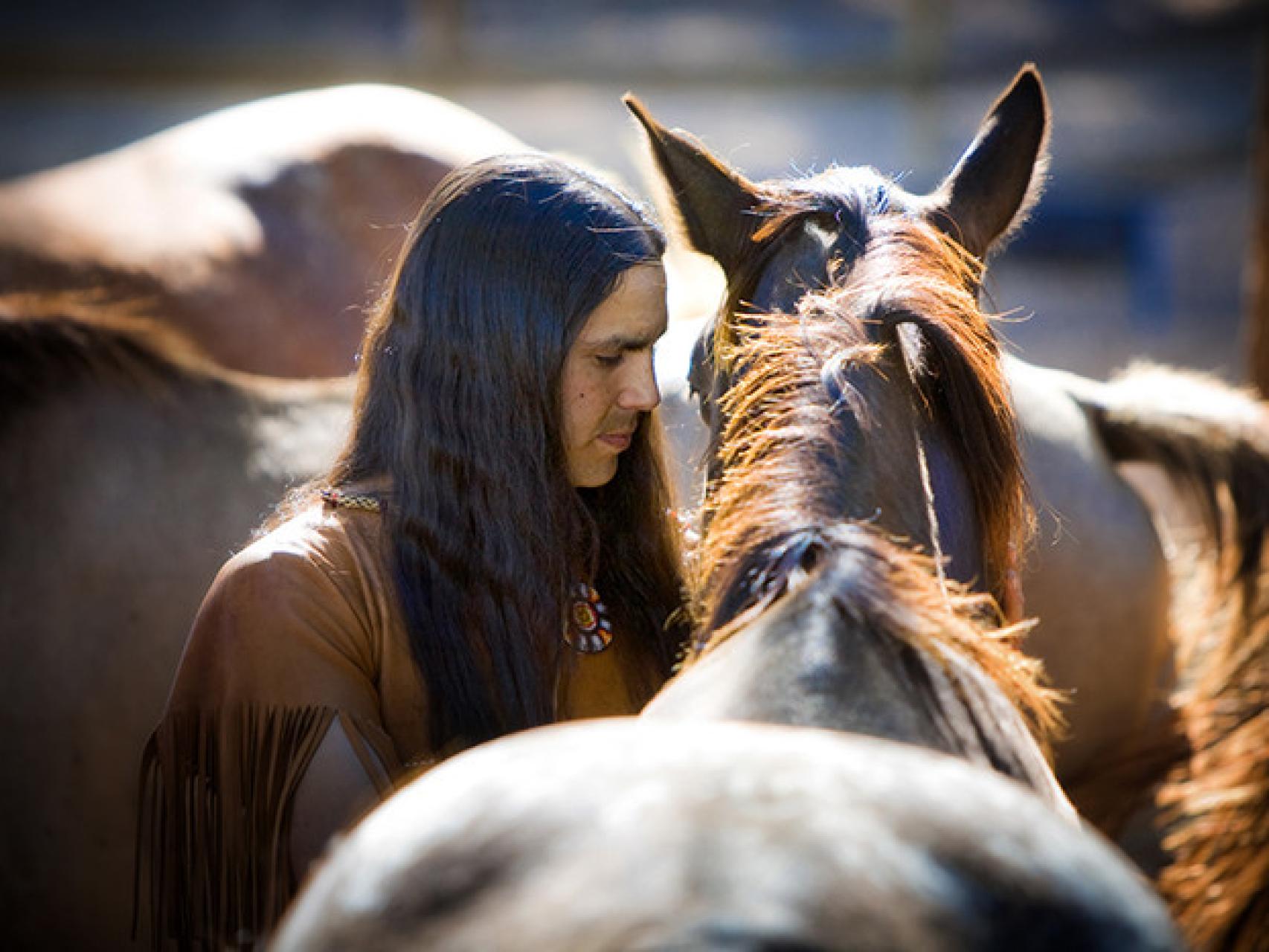 Los indios americanos adoptaron los caballos españoles antes de la  colonización europea