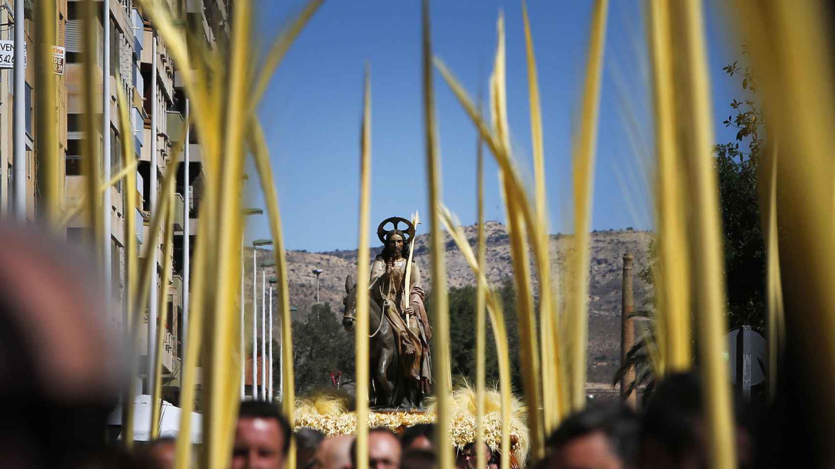 Imagen de la procesión de este Domingo de Ramos en Elche.
