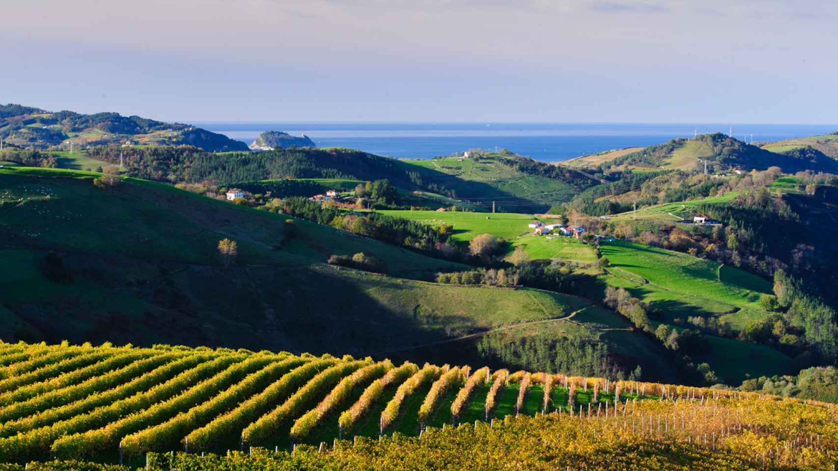 15 hectáreas de viñedo propio de donde se extraen 80.000 botellas cada año.