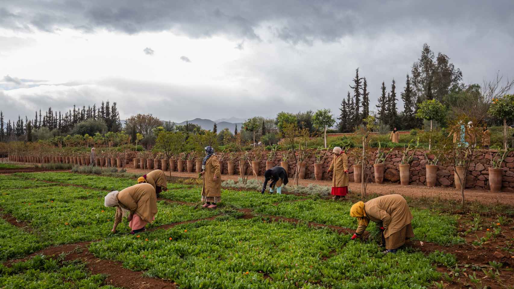 La mujeres trabajando en los jardines comunitarios de Ourika en Marrakech.