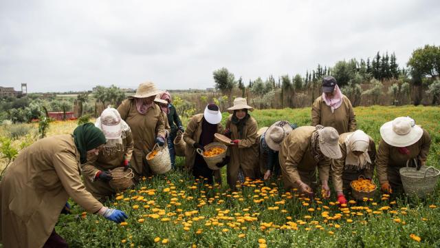 Mujeres marroquíes en el Jardín de Ourika con YSL Beauty.