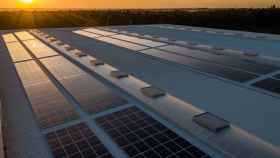 Unos paneles solares en un tejado.