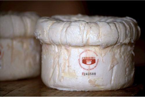 La peculiar forma de este queso es su mayor distintivo. Fuente: experienciasdecalidade.gal