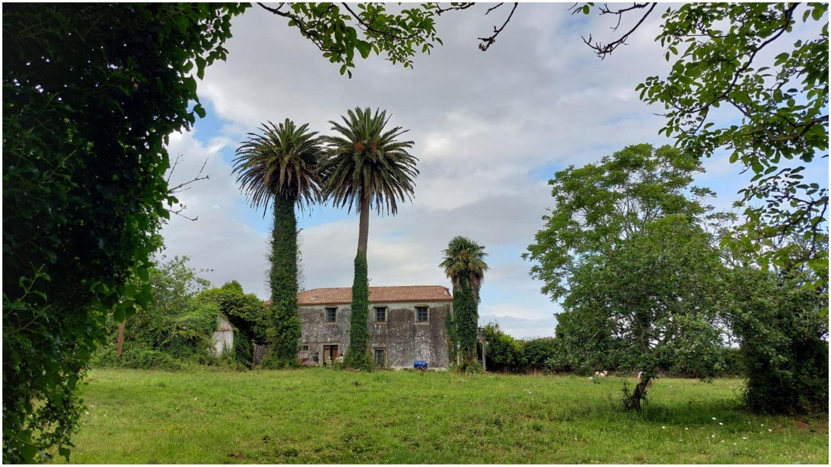 Morada das Palmas en Ortigueira (A Coruña).