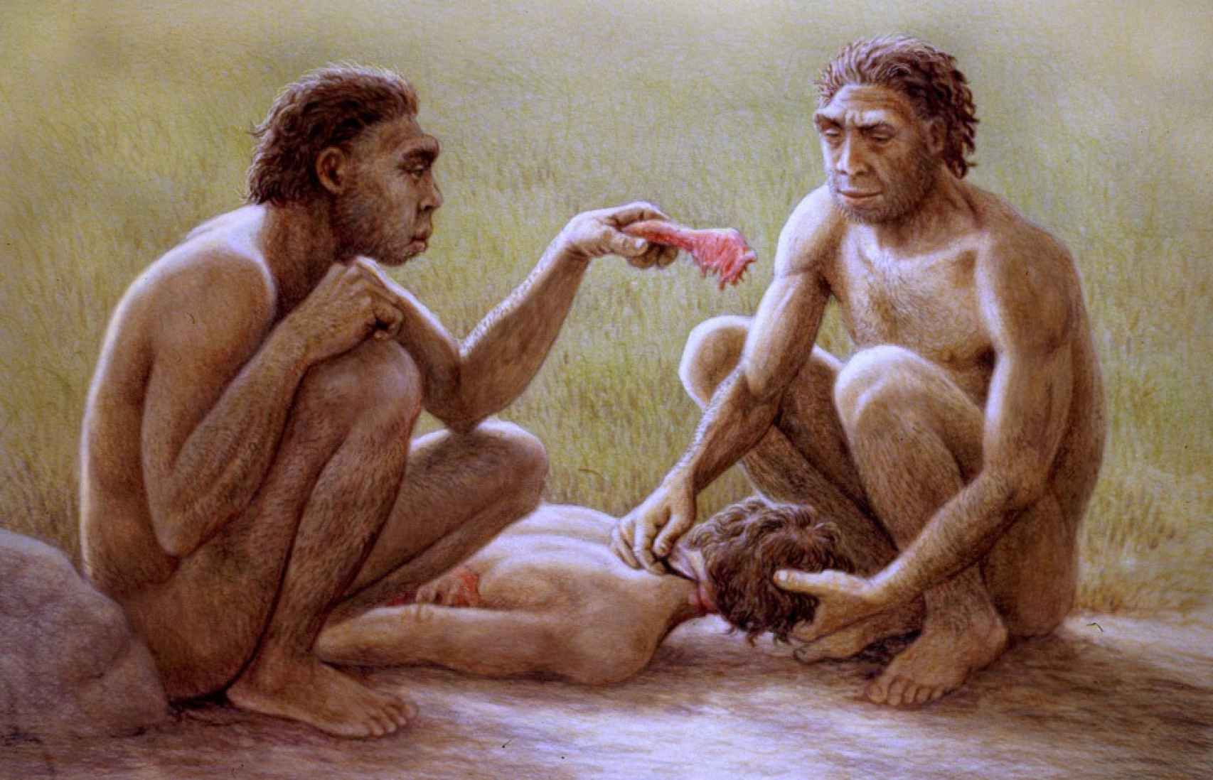 Recreación artística de un grupo de Homo antecessor realizada por Mauricio Antón. Imagen: Museo de la Evolución Humana