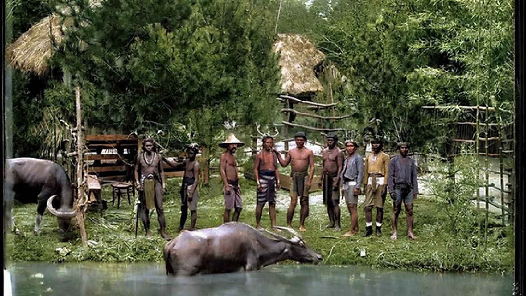 Indígenas filipinos y dos carabaos (búfalos de agua) en el Retiro durante la Exposición General de Filipinas de 1887.