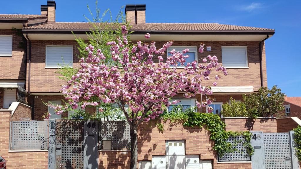 Vivienda donde residía la pareja junto a sus ocho hijos.