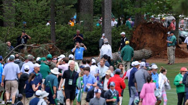 El árbol caído en el Masters de Augusta.