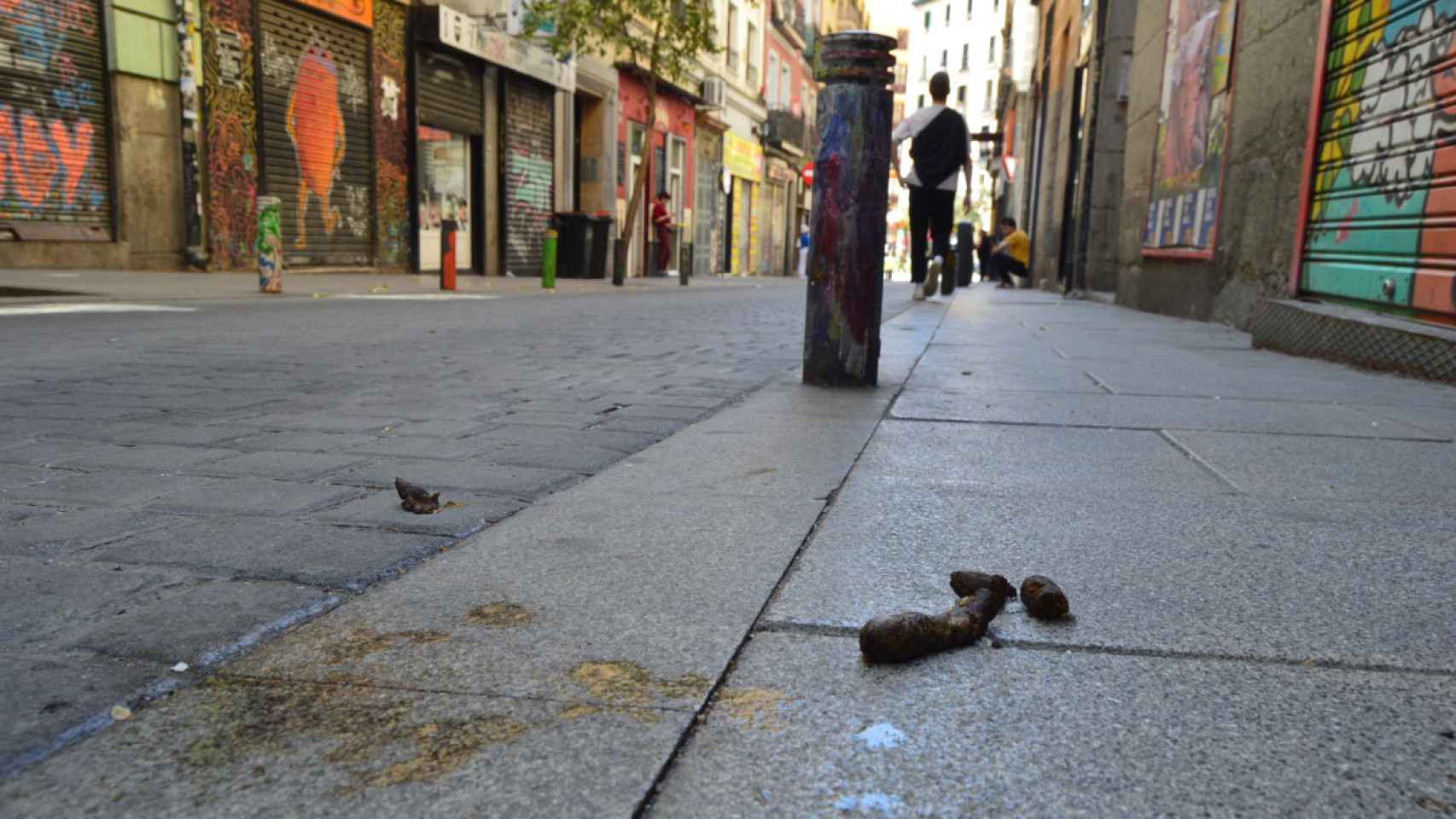 Excremento sin recoger en la acera de una calle del centro de Madrid.