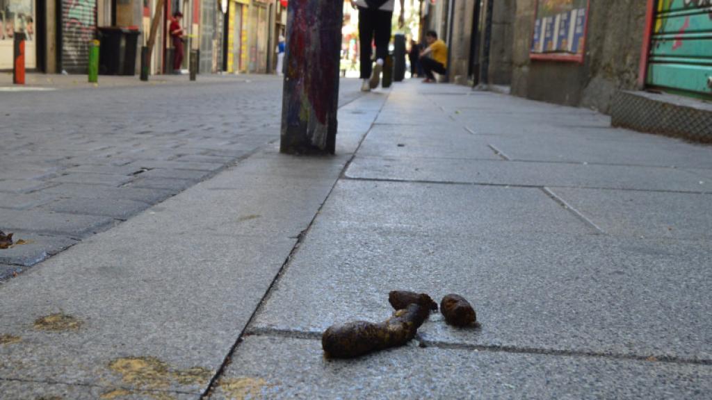 Excremento sin recoger en la acera de una calle del centro de Madrid.